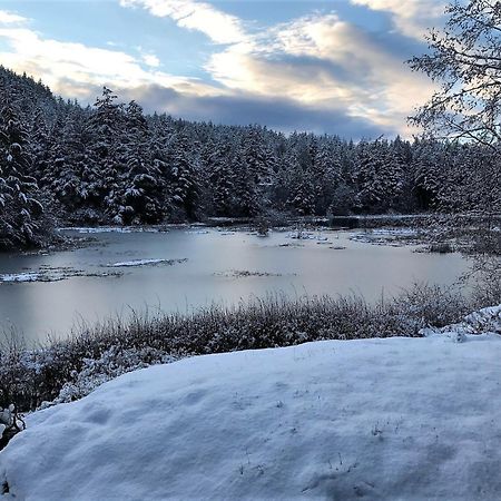 Otter'S Pond Bed And Breakfast Eastsound Exteriör bild