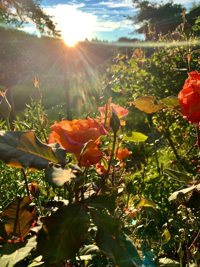 Otter'S Pond Bed And Breakfast Eastsound Exteriör bild