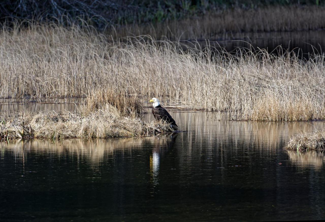 Otter'S Pond Bed And Breakfast Eastsound Exteriör bild